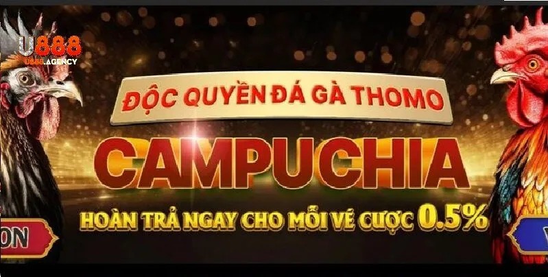 Sự Kiện Trực Tuyến – Làm Nóng Cộng Đồng Đá Gà U888 Mỗi Tuần